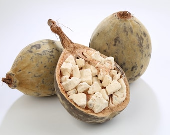 Frutto di baobab 8 libbre Prodotto del Senegal o del Mali