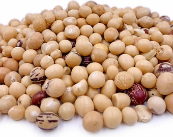 Bambara Beans 12 oz Product of Ghana