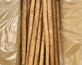 Fresh Japanese Burdock Root Gobo 12 long roots