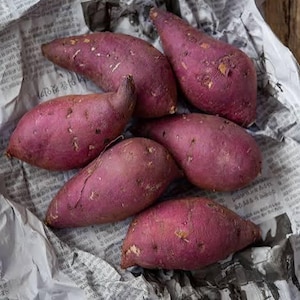 May include: A collection of five raw sweet potatoes with deep purple skin and irregular, elongated shapes. The sweet potatoes are resting on a piece of crumpled, white newspaper with black printed text, showing various textures and natural markings.