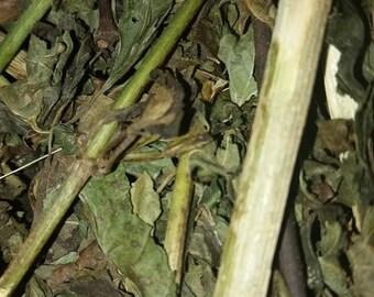 Jack in The Bush 8 oz Product of Jamaica