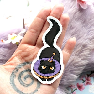 May include: A black cat wearing a purple and gold party hat and a purple and gold collar with a yellow trim. The cat is looking to the left with a grumpy expression.