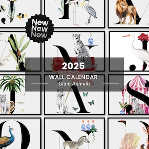 2025 Wall Calendar, Large Wall Calendar, Illustrated 12 Month Calendar, Physical Calendar, Hanging Calendar, 2025 Wall Calendar Pretty