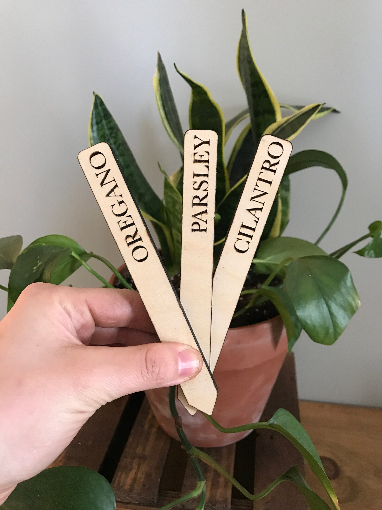 CUSTOM Herb Garden Outdoor Garden Stakes Engraved Wood Herb Etsy