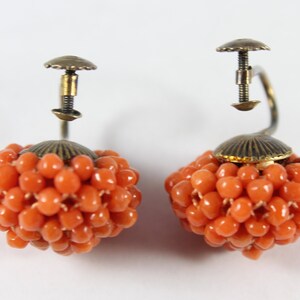 May include: A pair of coral earrings featuring a cluster of small, round coral beads. The earrings have a gold-toned metal backing with a screw-on fastening.
