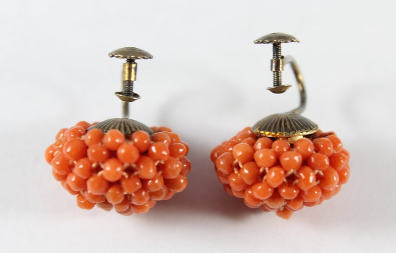 May include: A pair of coral earrings featuring a cluster of small, round coral beads. The earrings have a gold-toned metal backing with a screw-on fastening.