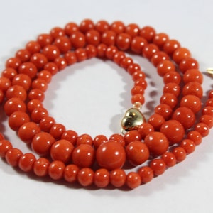 May include: A long strand of bright orange coral beads with a gold clasp. The beads are round and smooth, and the necklace is layered for a dramatic look.