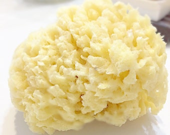 Natural Sea Sponge