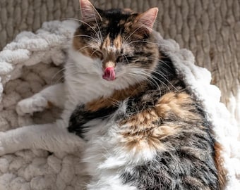 Cama para gatos de punto grueso y acogedora alfombra para mascotas