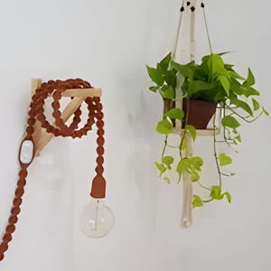 May include: A brown cord light fixture with a clear glass bulb hangs from a wooden shelf. A hanging planter with green leafy plants is on the right side of the image.