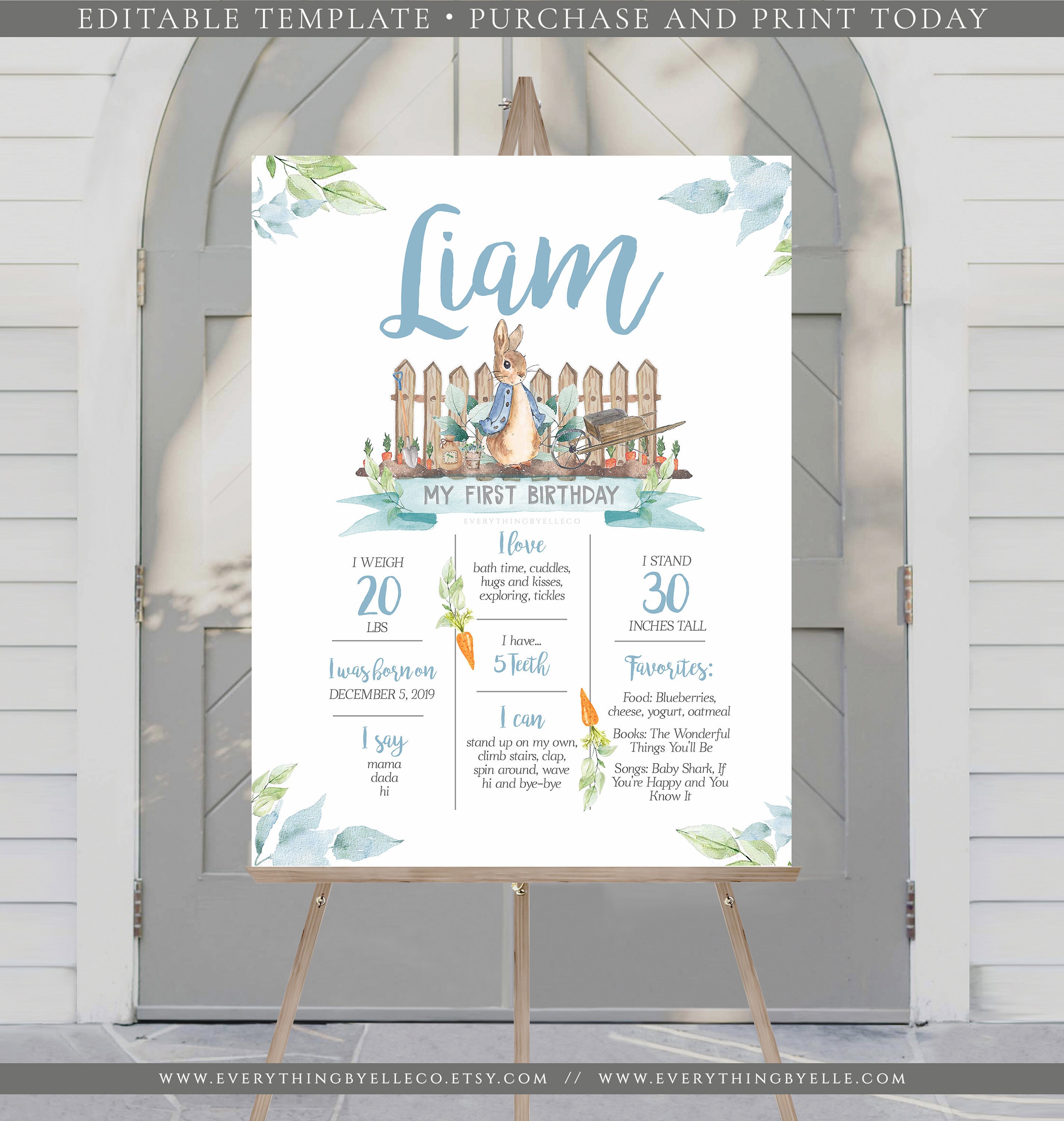 Peter Rabbit Milestone Board Printable 18x24 1st Birthday Etsy Australia
