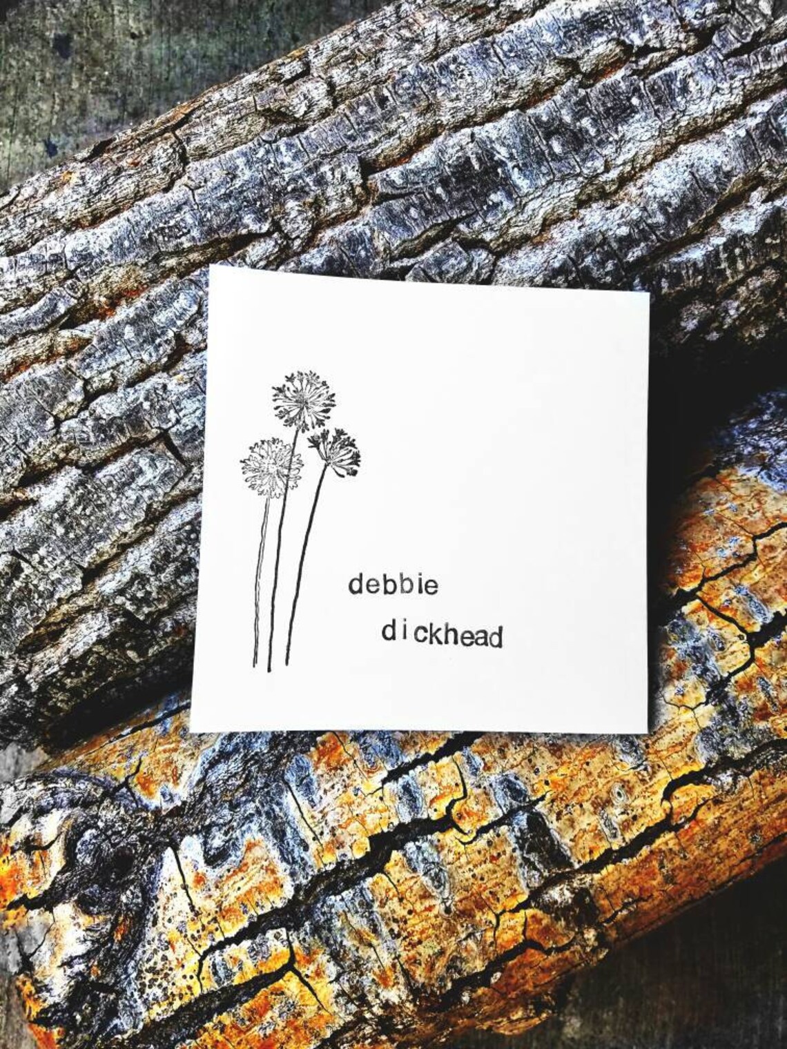 Johnny Cash Eating Cake in the Bush High Colorado Card Etsy