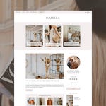 WordPress Themes