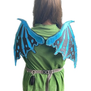 Könnte beinhalten: Ein Kind trägt ein grünes Shirt und ein Paar blaue und schwarze Drachenflügel. Die Flügel sind an einem Gürtel um die Taille befestigt.