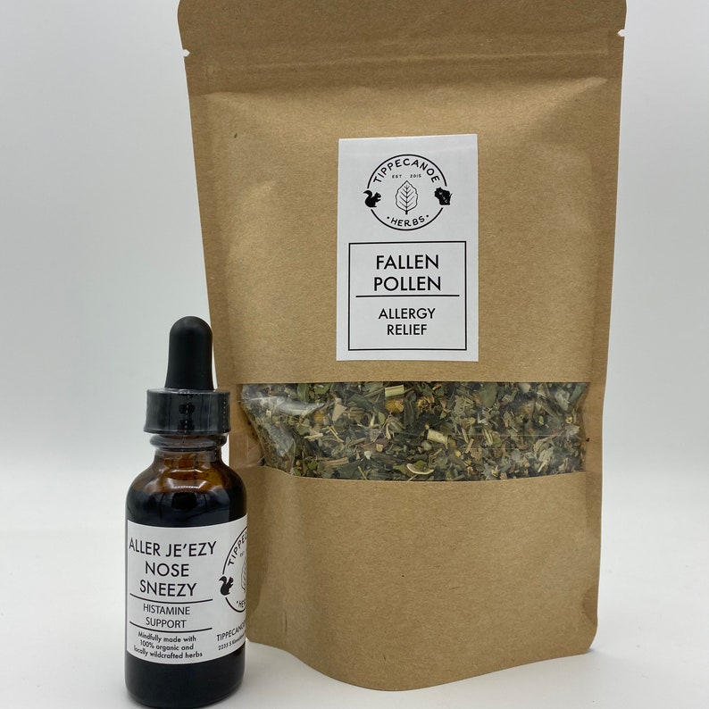 Allergy Tonic Nettle New England Aster Aller Je'ezy Etsy
