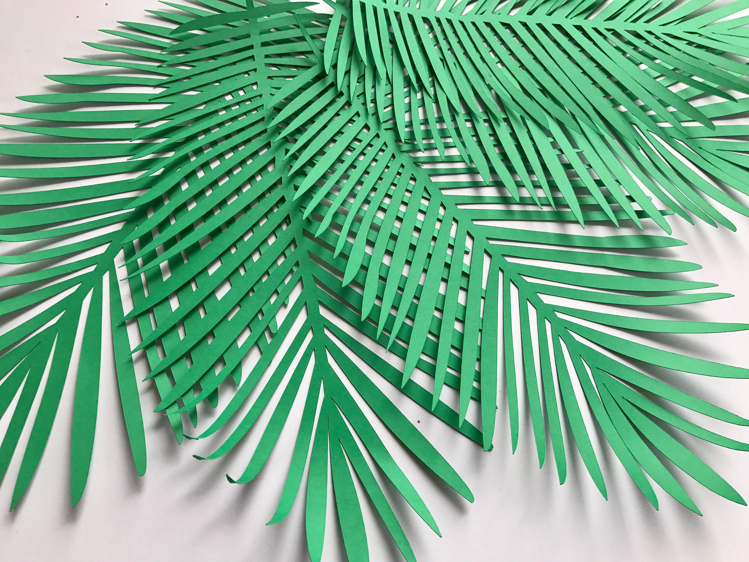 Leaves thesis 06 image