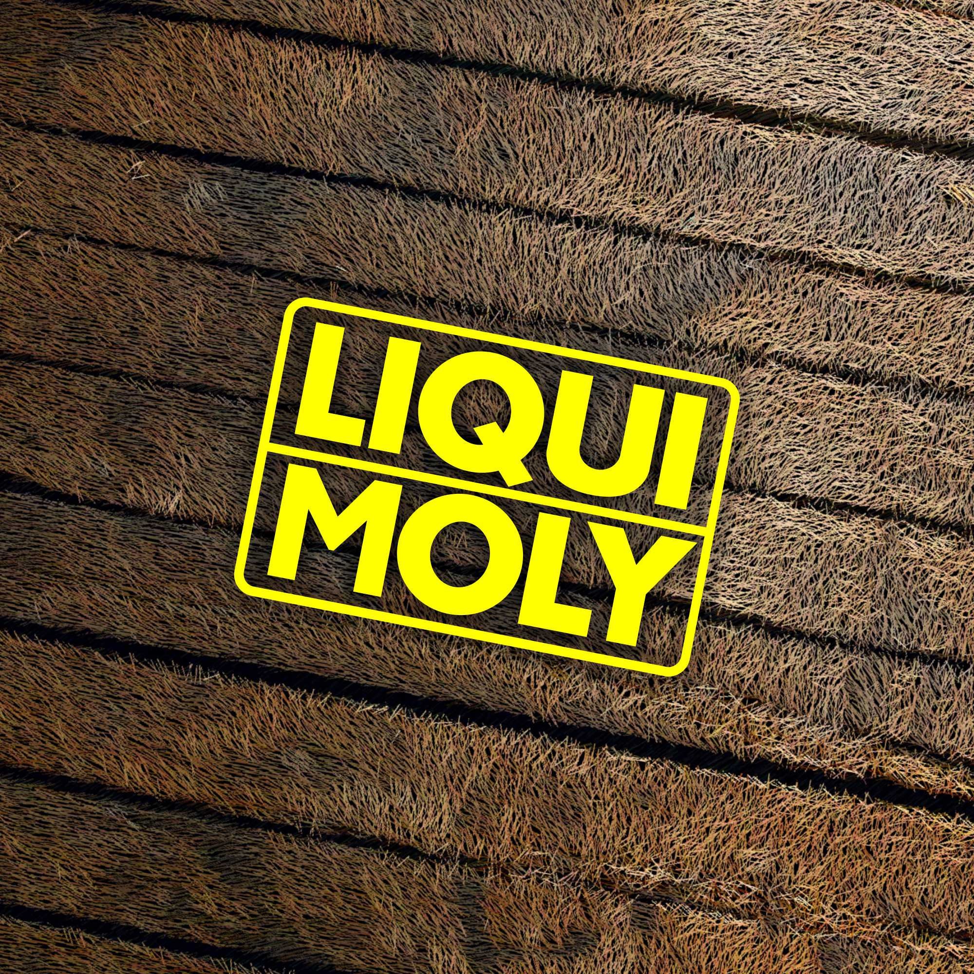 LIQUI MOLY Vinyl Decal – Waterproof Die Cut Oil Brand Logo - Etsy