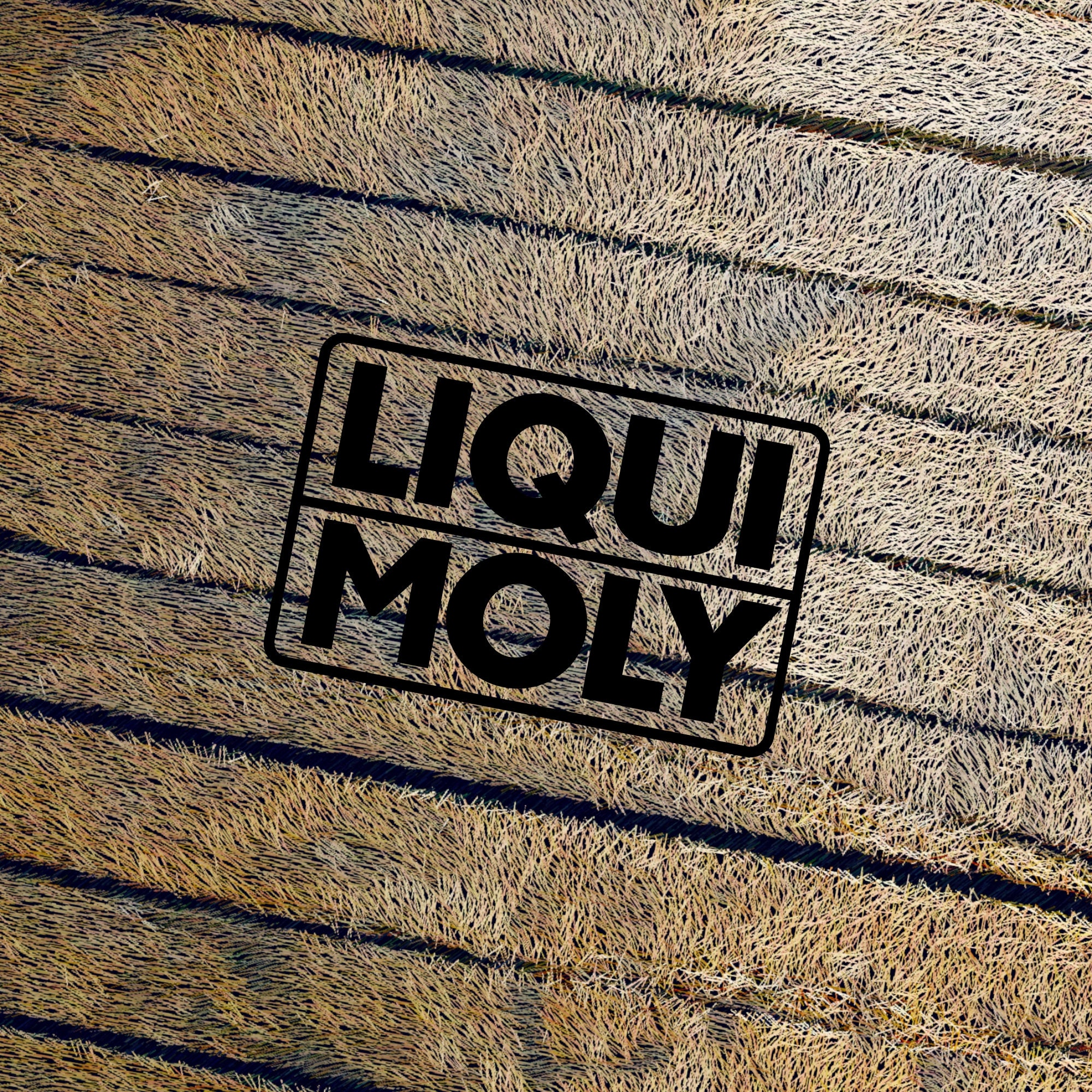 LIQUI MOLY Vinyl Decal – Waterproof Die Cut Oil Brand Logo - Etsy