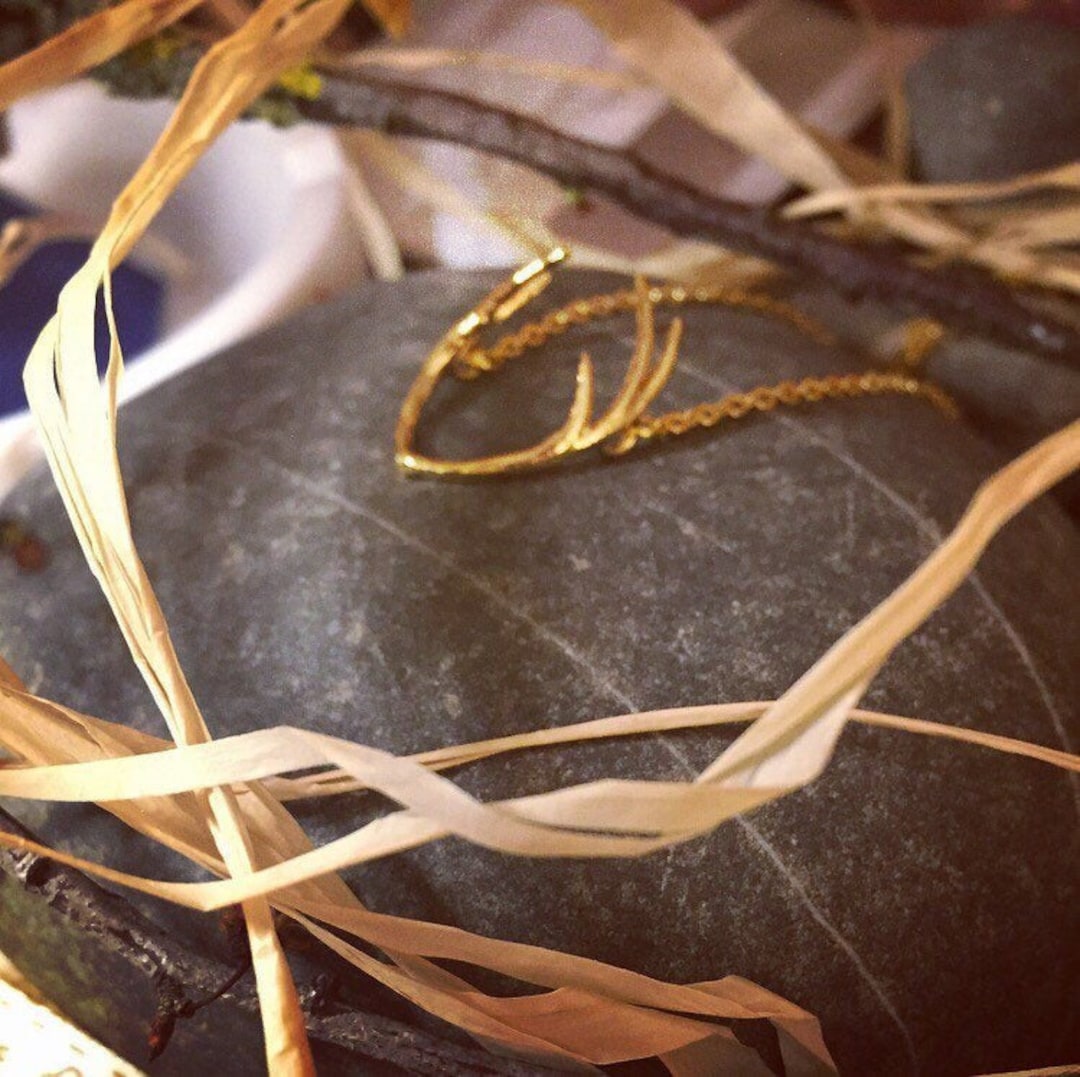 Beautiful 16 Karat Gold, Polished Antler Necklace. Etsy