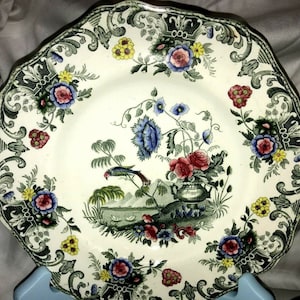 Spode&#39;s New Fayence 1805 - 1833 Georgian Period Hand painted Luncheon 11 Plates