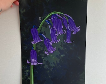Boshyacinten Art Print