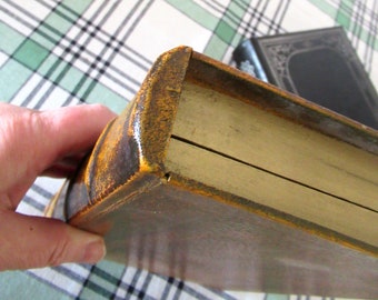 2pc Faux Book Safe Set