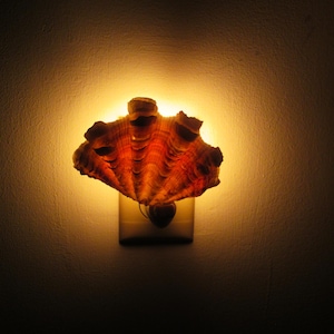 Sea Shell Night Light Lamp Seashell Lighting
