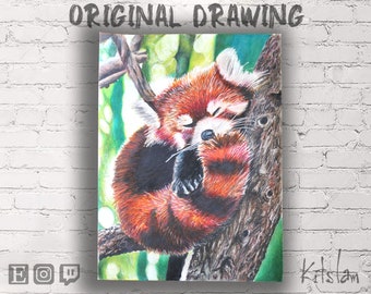 Dessin Panda Roux Etsy