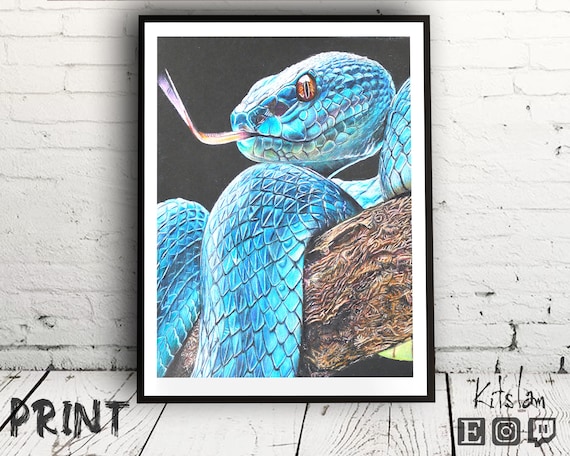 Realistic Viper Snake Drawing Realistic Snake Print White Etsy This time i am realistic snake drawn with colored pencils. realistic viper snake drawing realistic snake print white lipped viper pencil color drawing realistic art realistic drawing
