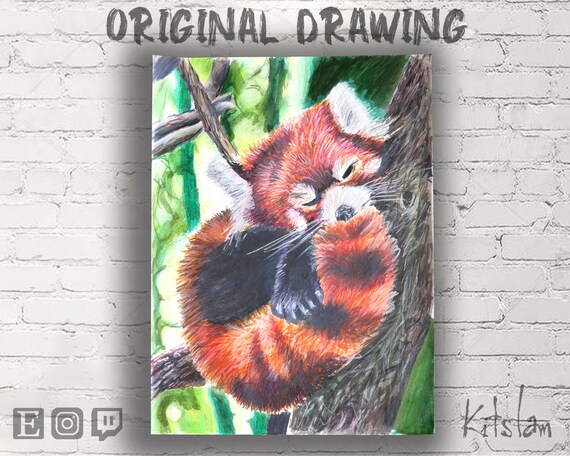 Red Panda Gift Red Panda Art For Kids Red Panda Drawing Red Panda Art Cute Red Panda Red Panda Gift Red Panda Art For Kids Red Panda Drawing Red Panda Art Cute Red Panda