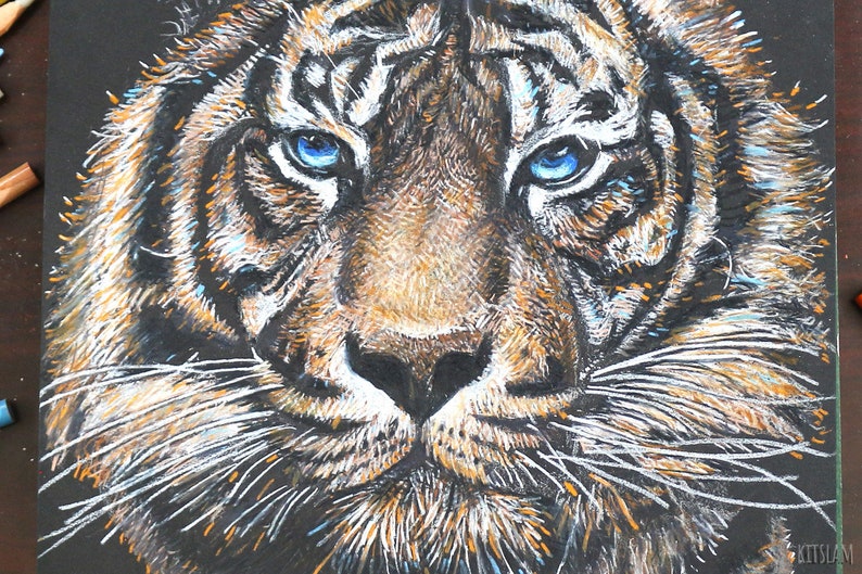 Colored Pencil Tiger Art Tiger Artwork Tiger Color Drawing Tiger Drawing Tiger Illustration Realistic Tiger Drawing Original Tiger Drawing Pencil