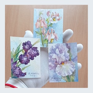 May include: Three watercolor paintings of flowers. The first painting shows purple irises, the second shows pink columbine flowers, and the third shows a white iris.
