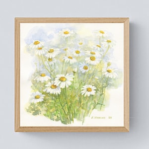 Tenerezza della margherita Originale acquerello all'aria aperta Immagine floreale Fiore selvatico bianco Decorazione murale quadrata Campo fiorito Estate verde Opera d'arte leggera