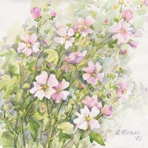 Fiori di campo rosa Acquerello originale all'aria aperta Immagine floreale Decorazione murale quadrata Prato fiorito Estate verde Opera d'arte leggera