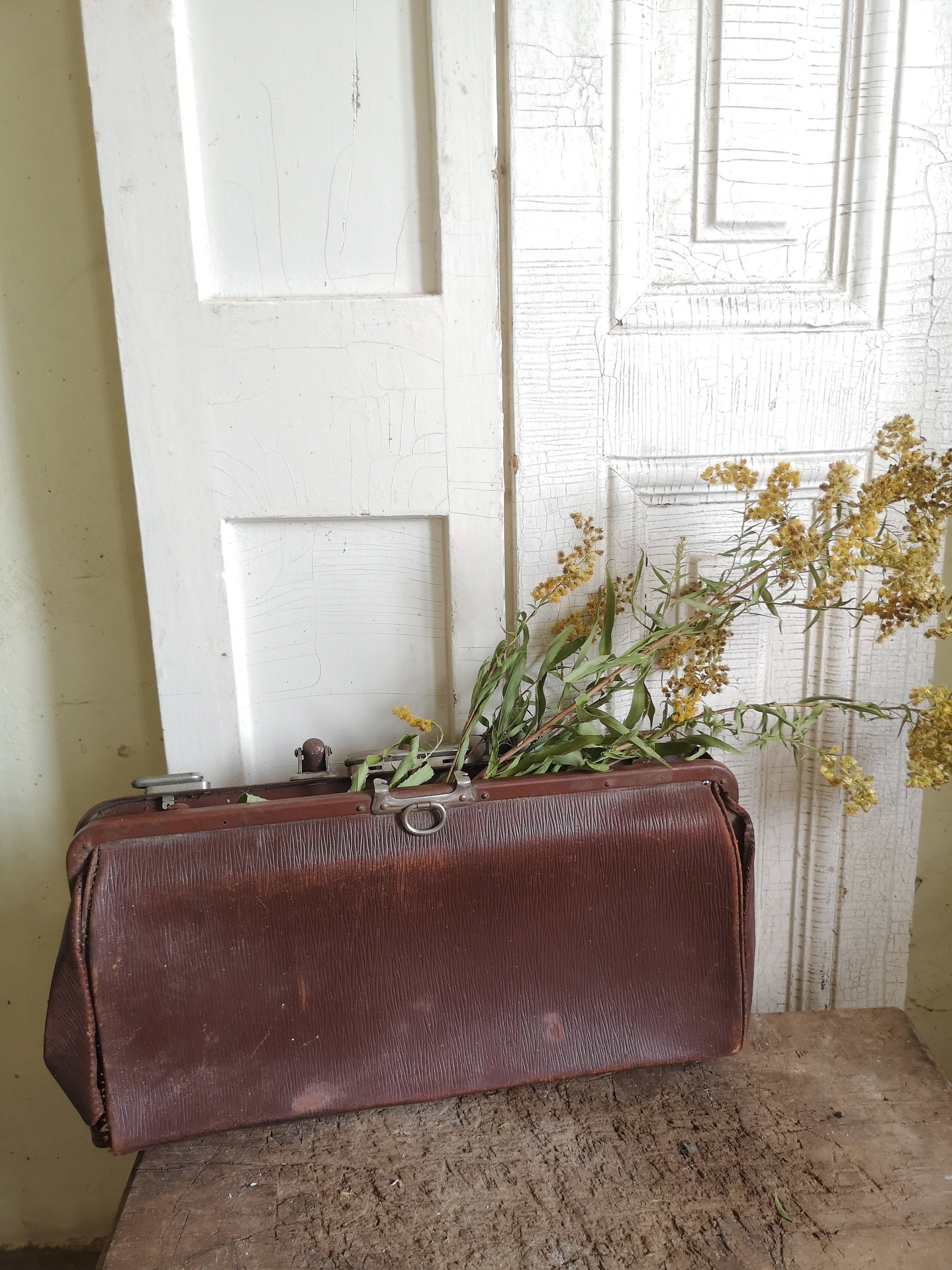 1800s Doctor Bag 