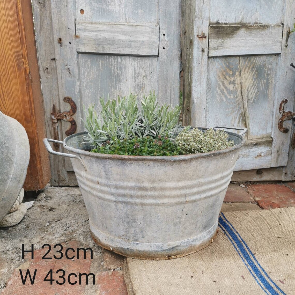 Galvanised Vintage Metal Water Bucket Planter With Handles. Etsy