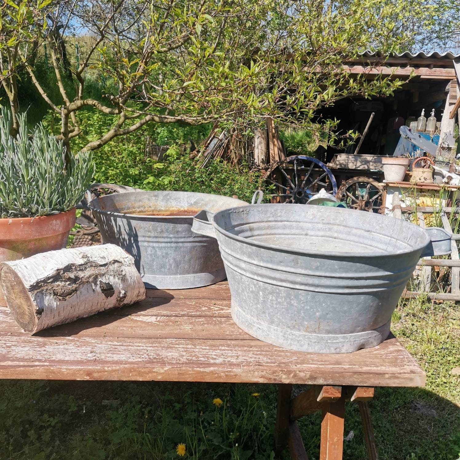 Galvanised Vintage Metal Water Bucket Planter With Handles. Etsy