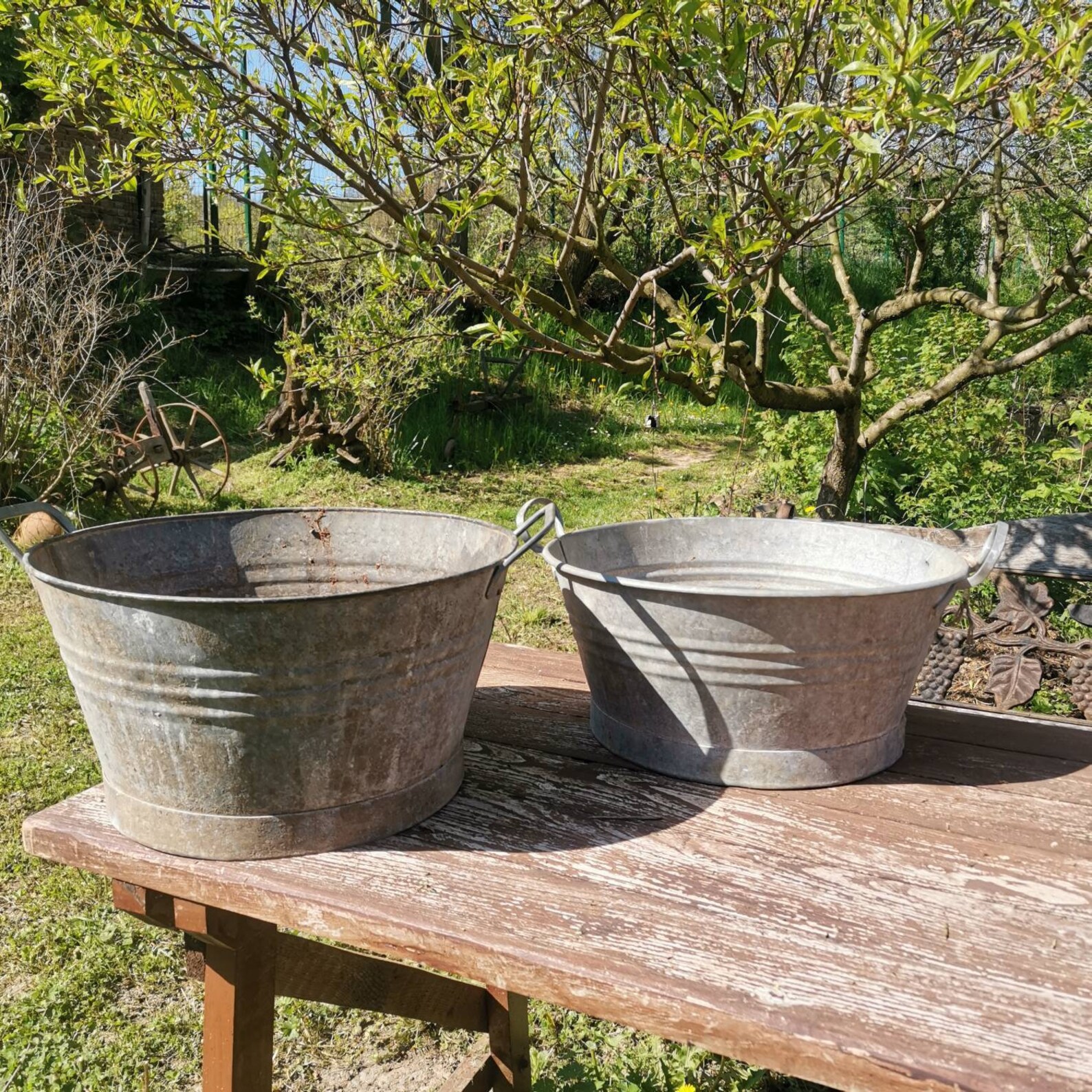 Galvanised Vintage Metal Water Bucket Planter With Handles. Etsy