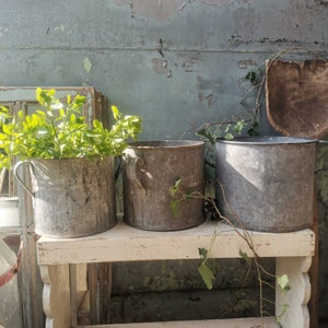 May include: Three galvanised metal planters with a rustic, weathered finish. The planters are arranged on a white wooden shelf against a blue and green wall.