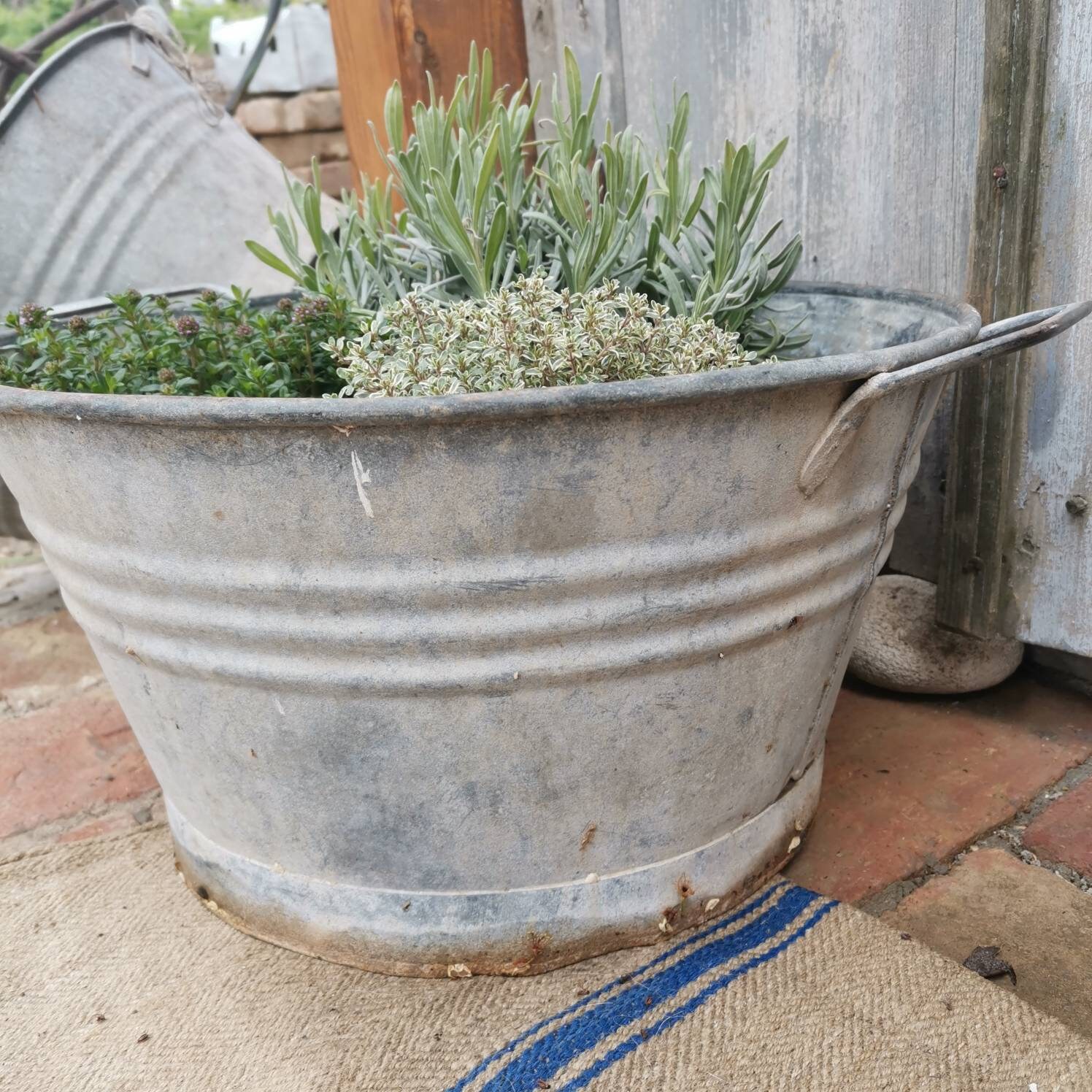 Galvanised Vintage Metal Water Bucket Planter With Handles. Etsy