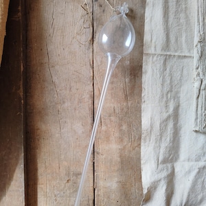 May include: A clear, hand-blown glass watering globe featuring a bulbous reservoir at the top and a long, slender, hollow stem extending downward. A thin, natural-colored twine loop is attached to the top of the glass bulb for hanging.