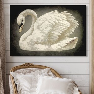 canvas wall art of white swan on smokey black background