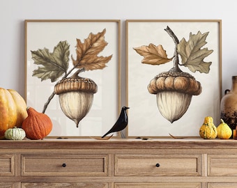 Fall Acorn Prints, Vintage PRINTABLE Art, Digital Download, Vintage Still Life, Set of Two Acorn Illustrations, Vintage Home Decor