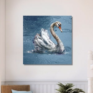 Canvas art of a swan on a lake with beautiful blue water. It is raining and you can see the ripples in the water