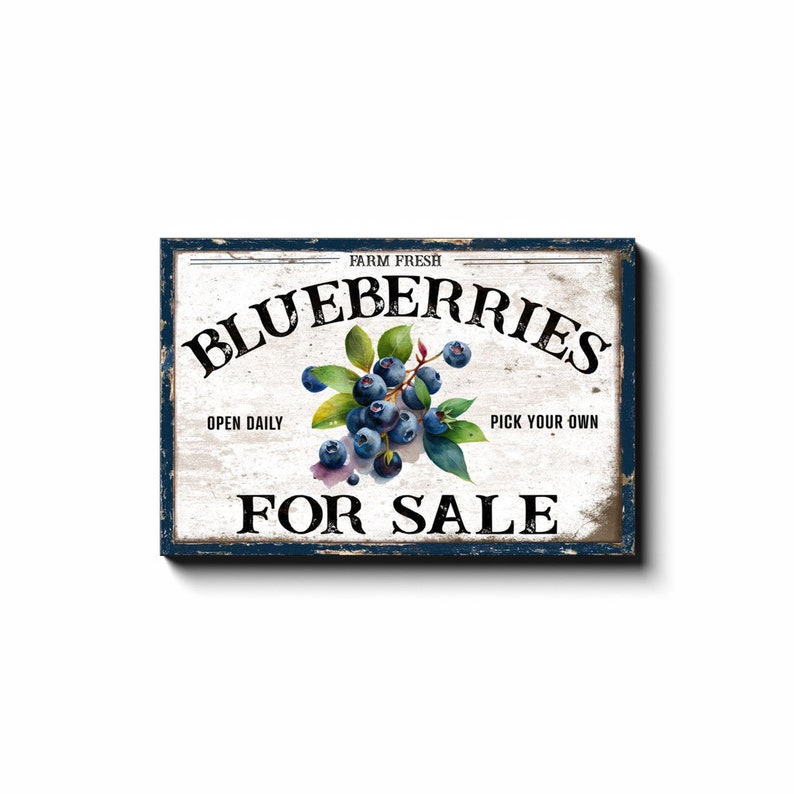 Blueberries For Sale, Spring Decor, Spring Canvas Wall Art, Large Canvas Signs, Vintage Spring Art, Garden Art, Farmhouse Summer Decor 20x30 inch