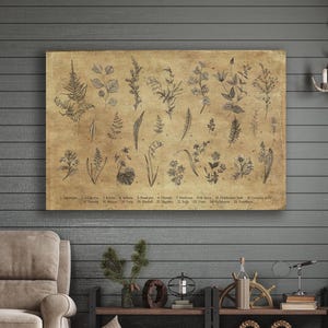 Botanical Ferns Canvas Sign, Large Wall Art, Botanical Print, Vintage Fern Decor, Spring Flower Art, Vintage Reproductions, Fern Picture