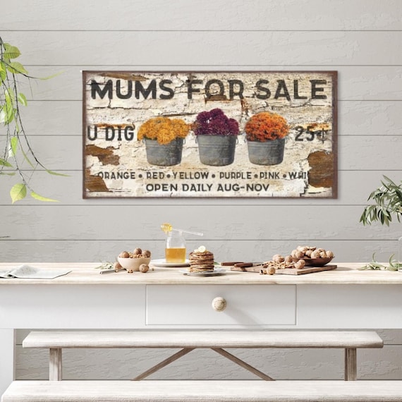 Antique Sign, Mums For Sale, Canvas Wall Art, Modern Farmhouse Wall Art, Primitive Fall Decor, Old Time Signs, Rustic Decor, Fall Flowers