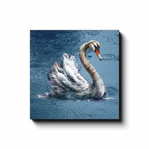 Swan In The Rain Art Modern Farmhouse Home Decor Swan Lake Blue Art Calming Art Piece Swan Canvas Wall Art Print Grandmillenial Decor 24x24 inch