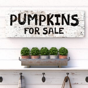 Letreros de otoño, Calabazas en venta, Arte mural en lienzo, Decoración otoñal, Decoración de calabazas, Letreros desportillados, Decoraciones otoñales, Lienzo otoñal, Letrero de carretera
