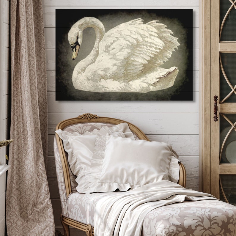 canvas wall art of white swan on smokey black background